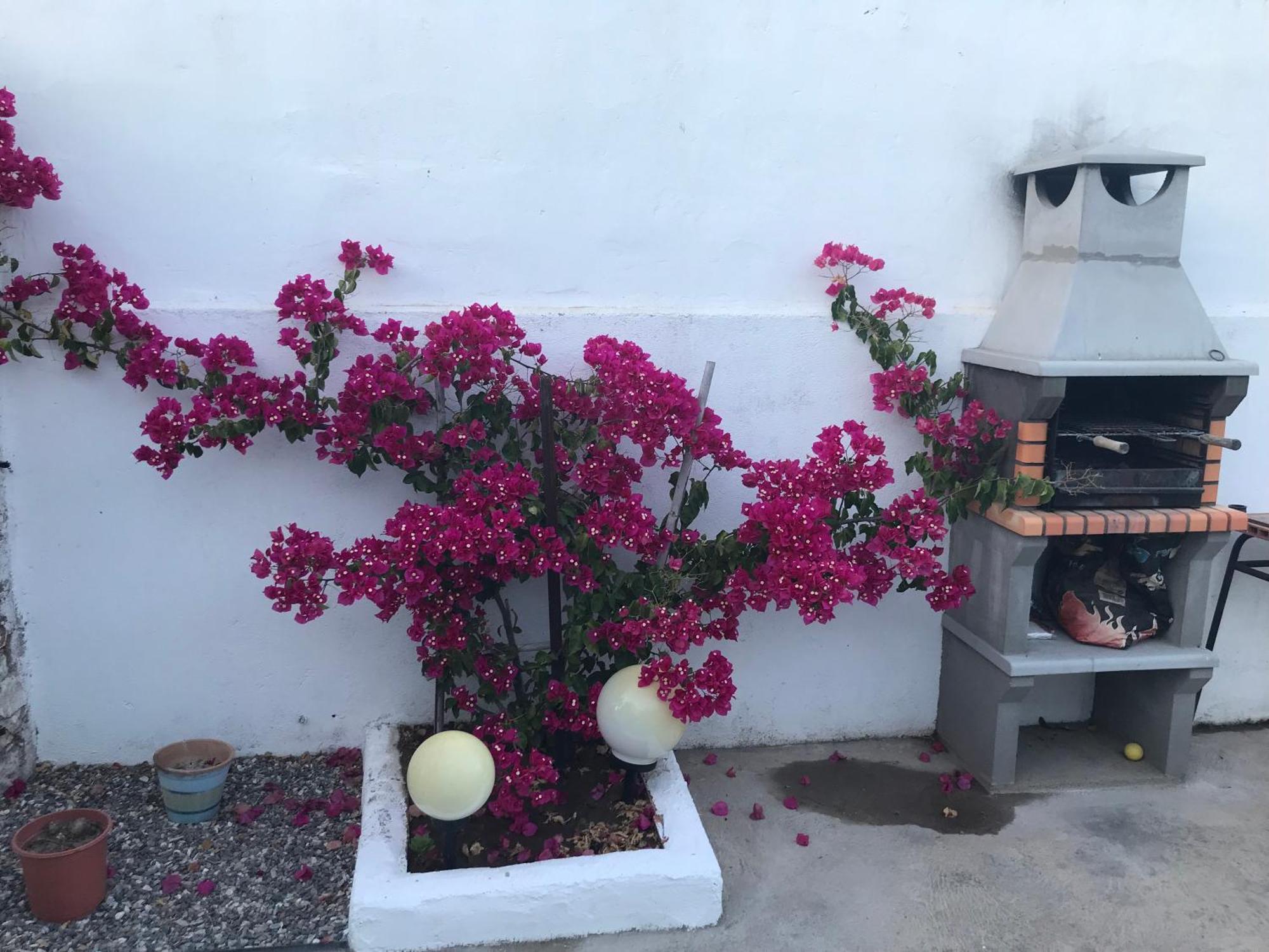 皮亚斯Casa Santo Antonio公寓 外观 照片
